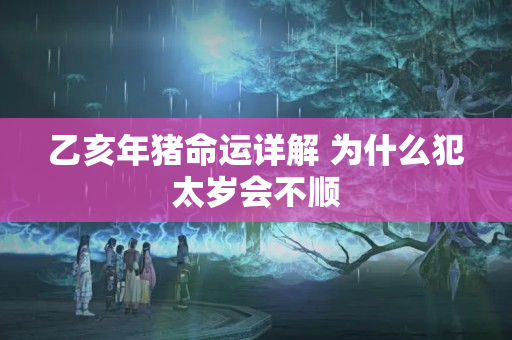 乙亥年猪命运详解 为什么犯太岁会不顺