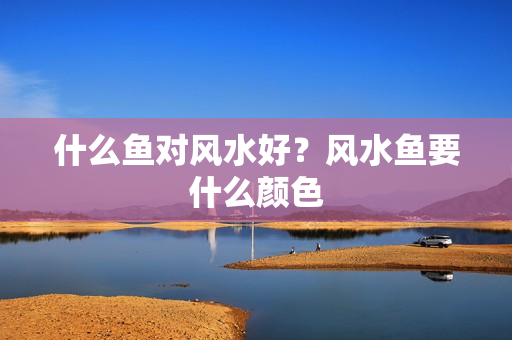 什么鱼对风水好？风水鱼要什么颜色