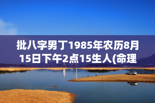 批八字男丁1985年农历8月15日下午2点15生人(命理四两三钱)