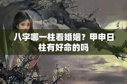 八字哪一柱看婚姻？甲申日柱有好命的吗