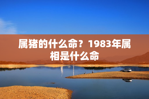 属猪的什么命？1983年属相是什么命