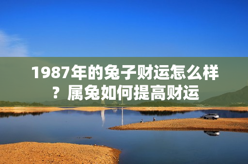 1987年的兔子财运怎么样？属兔如何提高财运