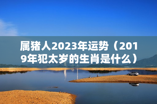 属猪人2023年运势（2019年犯太岁的生肖是什么）