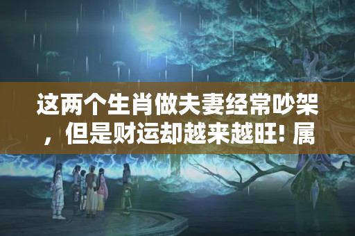 这两个生肖做夫妻经常吵架，但是财运却越来越旺! 属狗的与属狗的合婚好不好