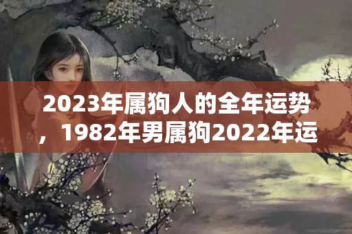 2023年属狗人的全年运势，1982年男属狗2022年运势如何