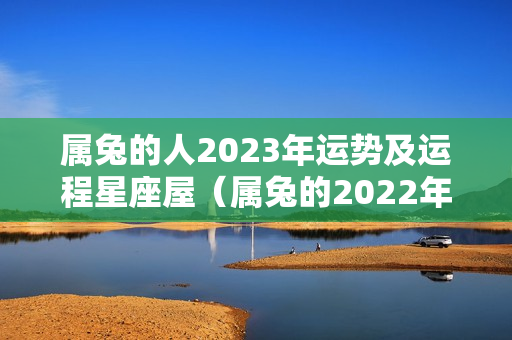 属兔的人2023年运势及运程星座屋（属兔的2022年运势怎么样）