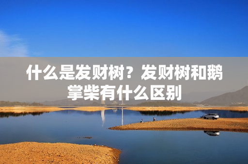 什么是发财树？发财树和鹅掌柴有什么区别