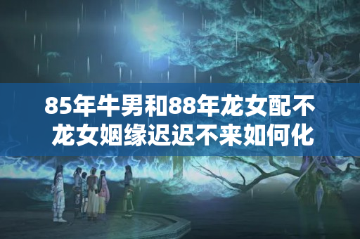 85年牛男和88年龙女配不 龙女姻缘迟迟不来如何化解