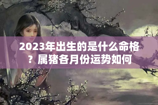 2023年出生的是什么命格？属猪各月份运势如何