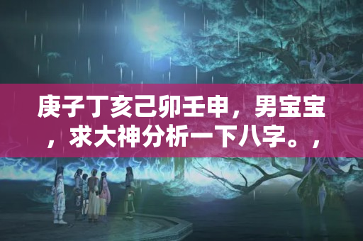 庚子丁亥己卯壬申，男宝宝，求大神分析一下八字。，己卯大运是好运吗