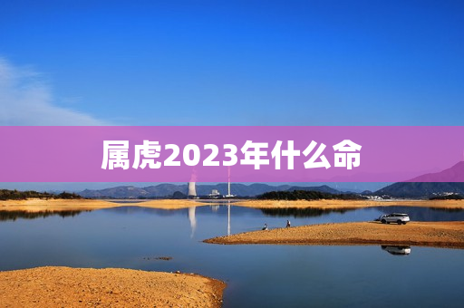 属虎2023年什么命