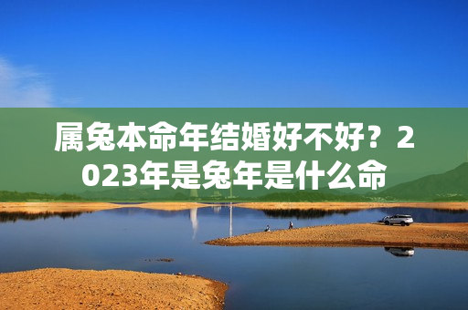 属兔本命年结婚好不好？2023年是兔年是什么命