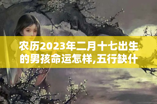 农历2023年二月十七出生的男孩命运怎样,五行缺什么