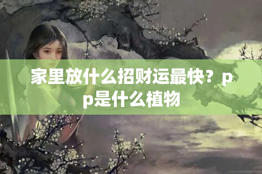 家里放什么招财运最快？pp是什么植物