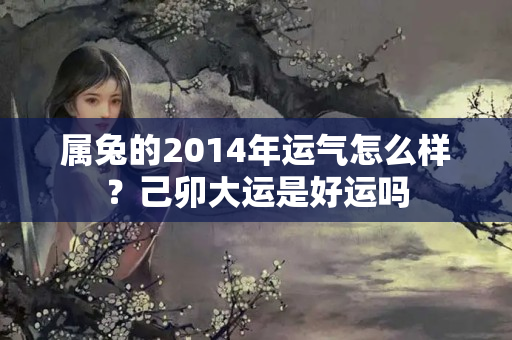 属兔的2014年运气怎么样？己卯大运是好运吗