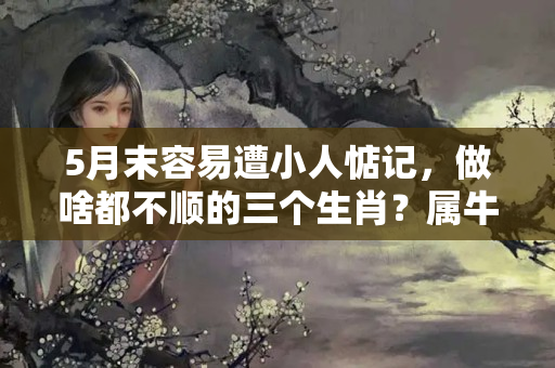 5月末容易遭小人惦记，做啥都不顺的三个生肖？属牛人的贵人与小人