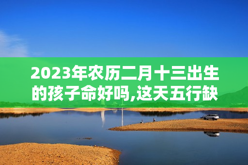 2023年农历二月十三出生的孩子命好吗,这天五行缺什么