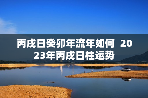 丙戌日癸卯年流年如何  2023年丙戌日柱运势