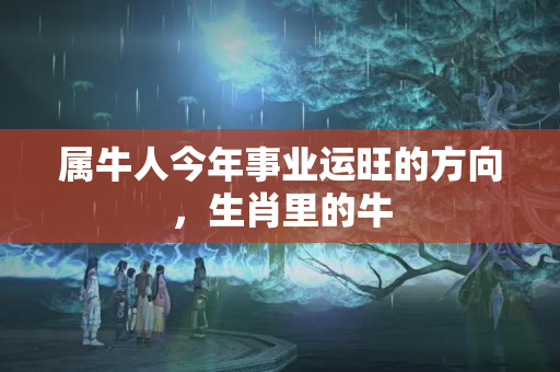 属牛人今年事业运旺的方向，生肖里的牛