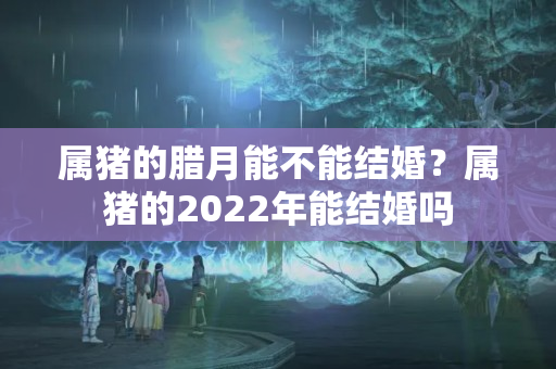 属猪的腊月能不能结婚？属猪的2022年能结婚吗