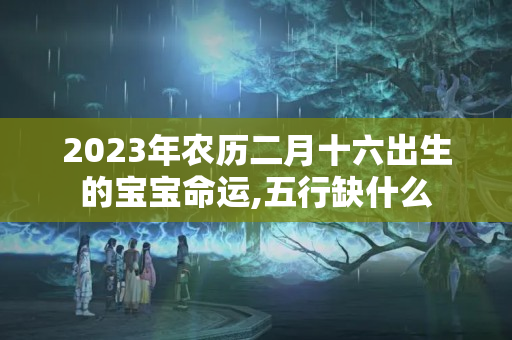 2023年农历二月十六出生的宝宝命运,五行缺什么