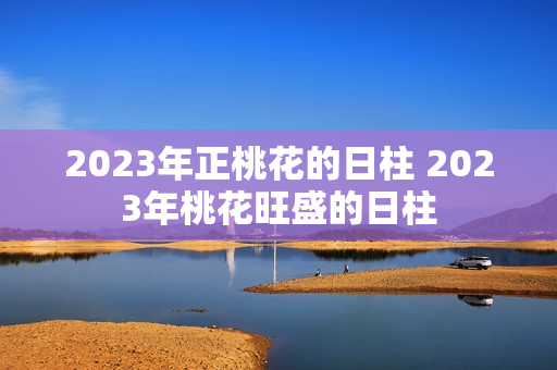 2023年正桃花的日柱 2023年桃花旺盛的日柱