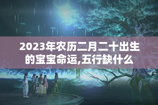 2023年农历二月二十出生的宝宝命运,五行缺什么