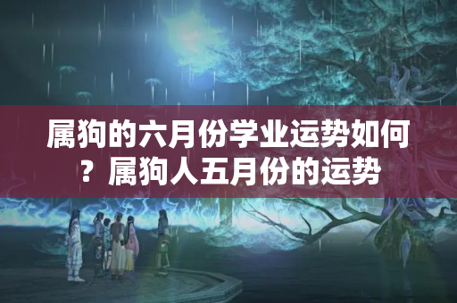 属狗的六月份学业运势如何？属狗人五月份的运势