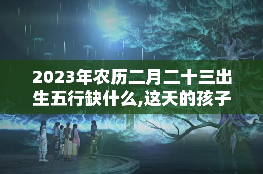 2023年农历二月二十三出生五行缺什么,这天的孩子命好吗