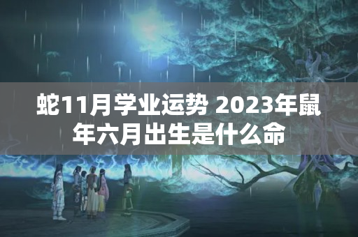 蛇11月学业运势 2023年鼠年六月出生是什么命