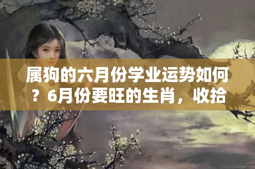 属狗的六月份学业运势如何？6月份要旺的生肖，收拾好以往坏心情心情准备接住啦