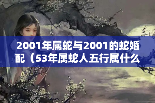 2001年属蛇与2001的蛇婚配（53年属蛇人五行属什么）