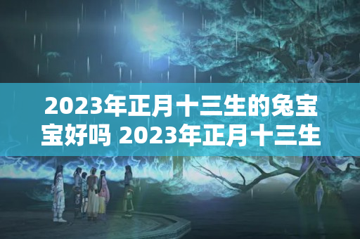 2023年正月十三生的兔宝宝好吗 2023年正月十三生孩子好吗