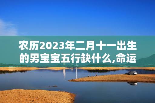 农历2023年二月十一出生的男宝宝五行缺什么,命运如何