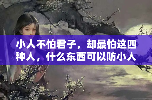 小人不怕君子，却最怕这四种人，什么东西可以防小人入侵