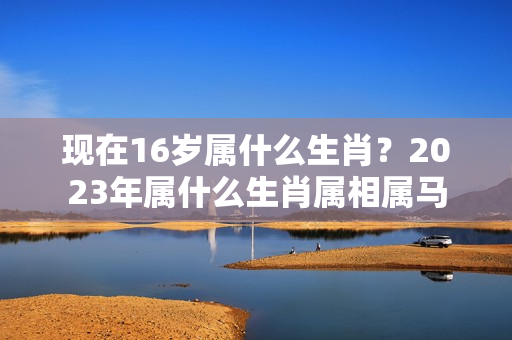 现在16岁属什么生肖？2023年属什么生肖属相属马