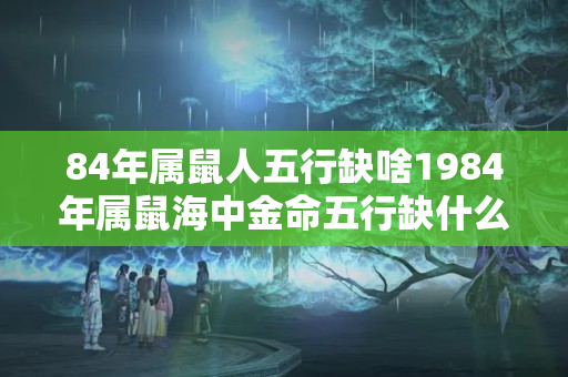 84年属鼠人五行缺啥1984年属鼠海中金命五行缺什么？海中金命怎么打开财库