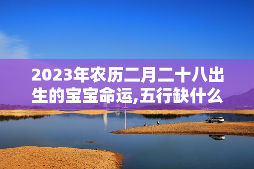 2023年农历二月二十八出生的宝宝命运,五行缺什么