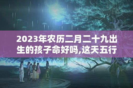 2023年农历二月二十九出生的孩子命好吗,这天五行缺什么