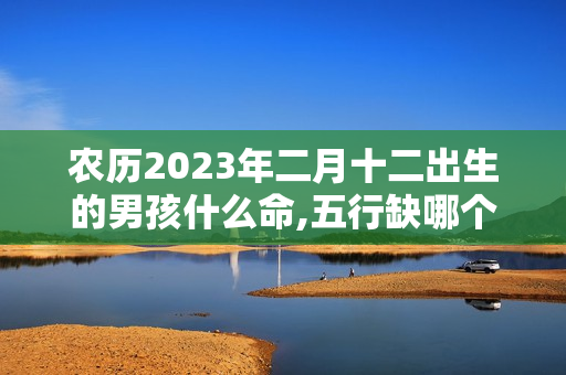 农历2023年二月十二出生的男孩什么命,五行缺哪个