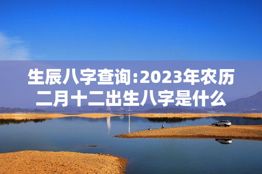 生辰八字查询:2023年农历二月十二出生八字是什么