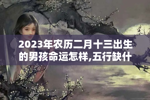 2023年农历二月十三出生的男孩命运怎样,五行缺什么