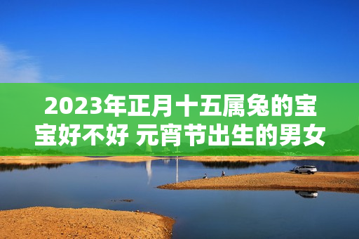 2023年正月十五属兔的宝宝好不好 元宵节出生的男女宝宝命好吗