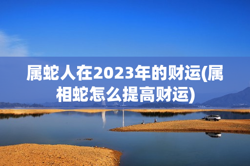 属蛇人在2023年的财运(属相蛇怎么提高财运)