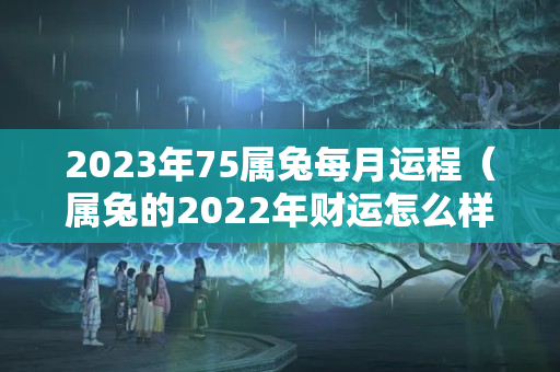 2023年75属兔每月运程（属兔的2022年财运怎么样）