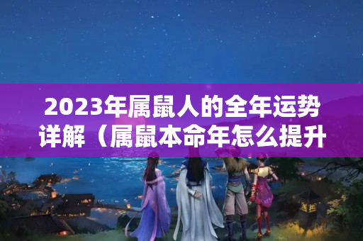 2023年属鼠人的全年运势详解（属鼠本命年怎么提升财运）