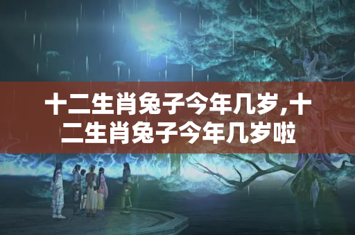 十二生肖兔子今年几岁,十二生肖兔子今年几岁啦