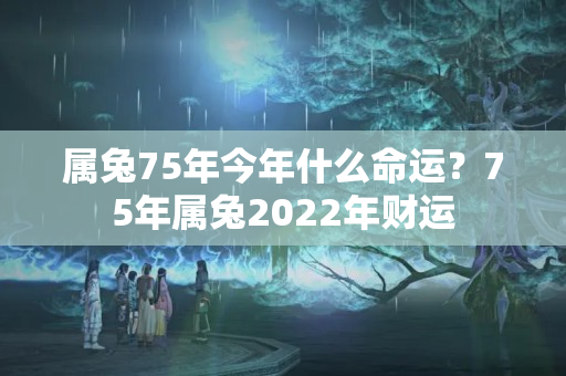 属兔75年今年什么命运？75年属兔2022年财运