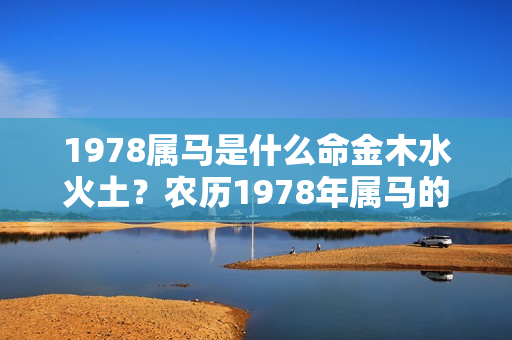 1978属马是什么命金木水火土？农历1978年属马的是什么命