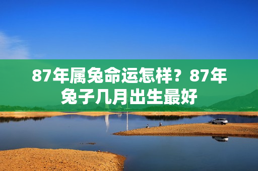 87年属兔命运怎样？87年兔子几月出生最好